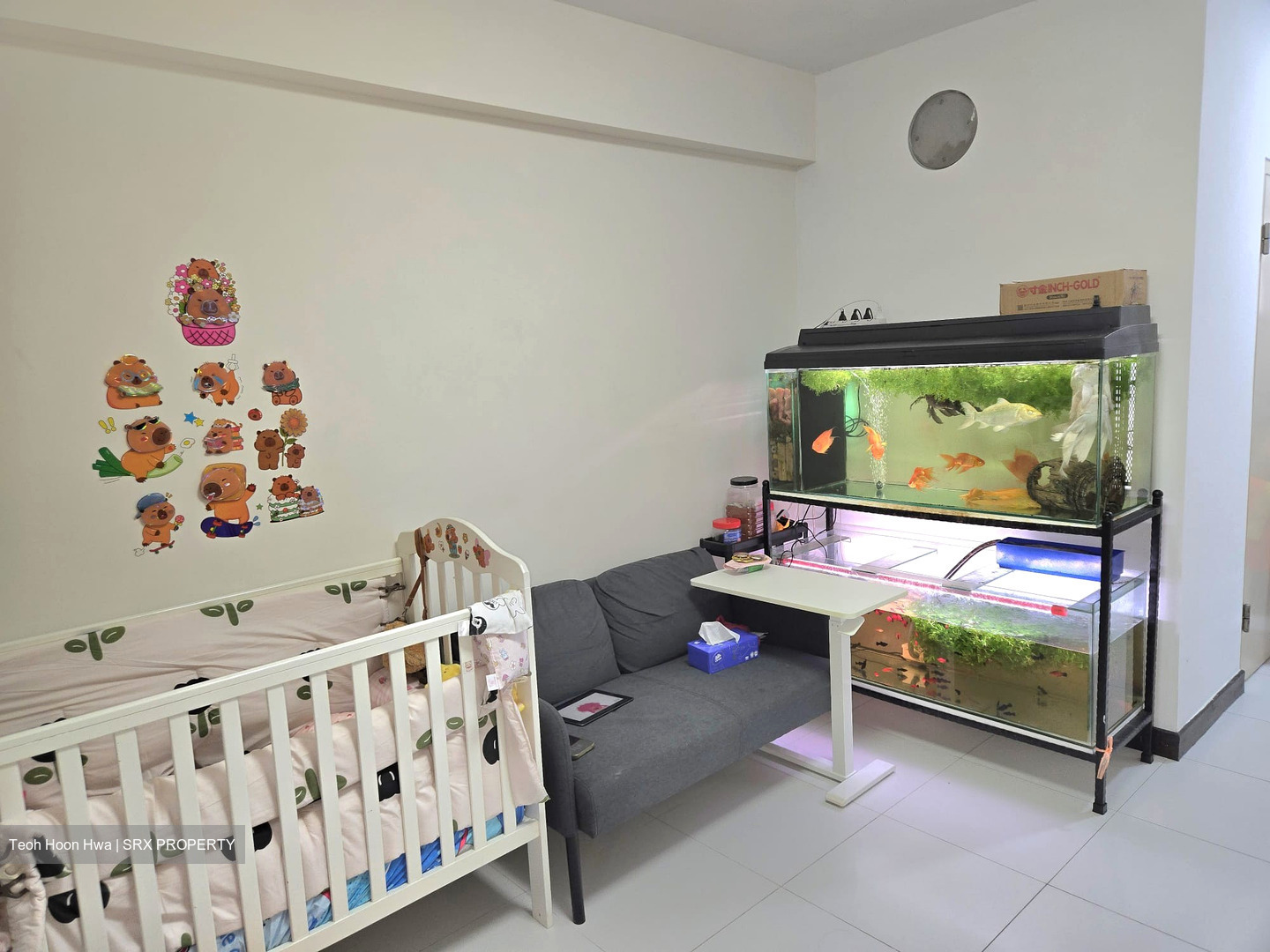 Blk 485 Segar Grove (Bukit Panjang), HDB 3 Rooms #554118161